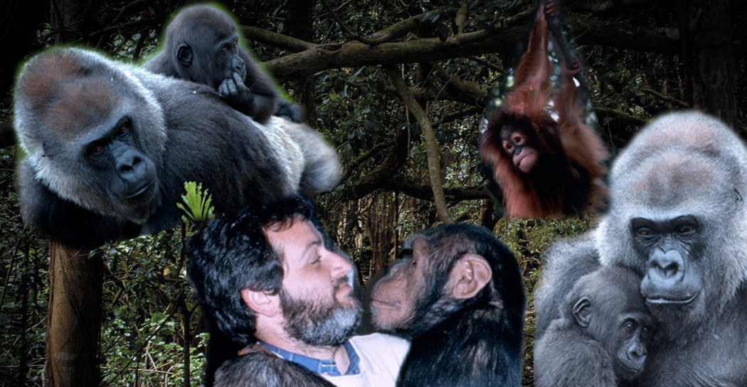 Natale nei Musei Natale nei Musei