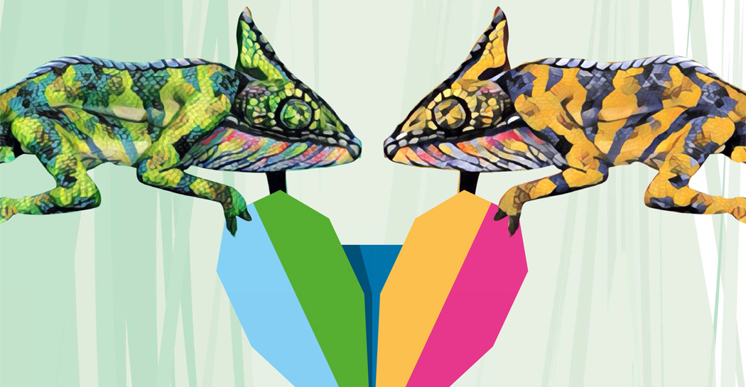 ColoriAmo gli animali ColoriAmo gli animali