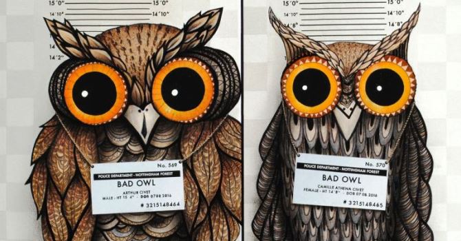 Maurizio Colombo, Bad Owl, 2016, olio su tela, cm 55x70 