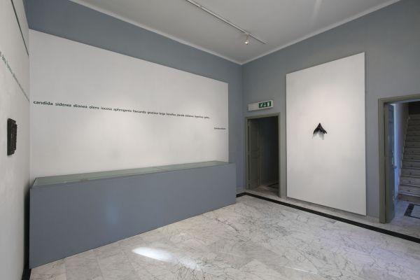 Courtesy della foto delle installazioni