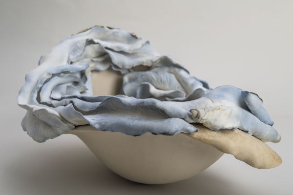 Annalia Amedeo, Blue-seed