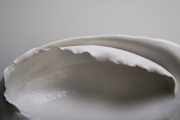 Annalia Amedeo, Particolare di Forme Organiche