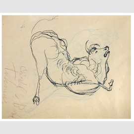 Toro morente, Antonietta Raphaël, 1937 ca., inchiostro, cm 21,5x28 (collezione privata) Toro morente, Antonietta Raphaël, 1937 ca., inchiostro, cm 21,5x28 (collezione privata)