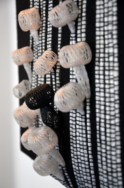 Silvia Beccaria, Anemone 