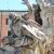 Fontana dei Quattro Fiumi - Rio de la Plata (particolare)