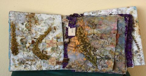 Vittorio Fava, Erbario della Sabina, 2001 (interno) Vittorio Fava, Erbario della Sabina, 2001 (interno)