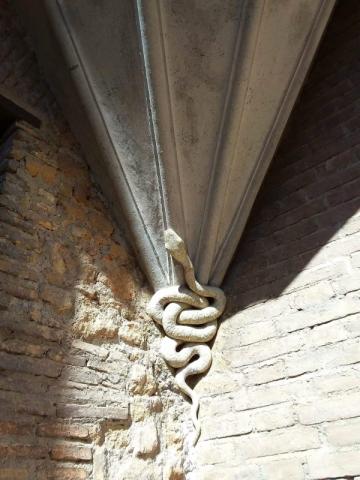 Serpente, esterno della Casina delle Civette, lato Nord-Ovest, pietra scolpita, inizio sec. XX