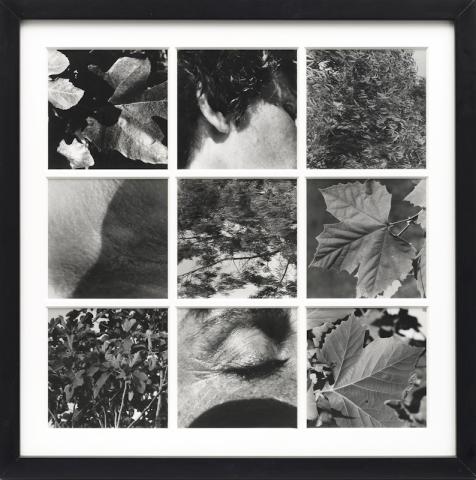 Elisa Montessori, Dafne, 1977, stampa fotografica, 75 x 75 cm  Crediti fotografici: Giorgio Benni Courtesy l’Artista e Galleria Monitor Roma | Lisbona | Pereto (AQ)