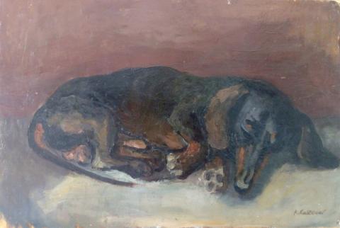 Cane bassotto, olio su tela olio su cartone, firmato scaffale sc2. 34,5x51,5 cm Cane bassotto, olio su tela olio su cartone, firmato scaffale sc2. 34,5x51,5 cm