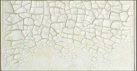 Alberto Burri, Cretto bianco - dettaglio, 1977, bianco di zinco e vinilico su tela, cm 43x31,  MSRo 86