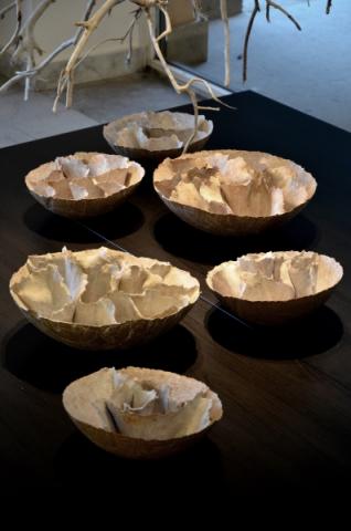 Sabine Pagliarulo, Coquillages (2)
